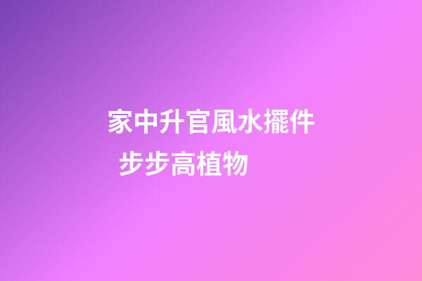 家中升官風水擺件  步步高植物